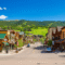 How the Real Estate Market in Park City is Adapting to Sustainable Development